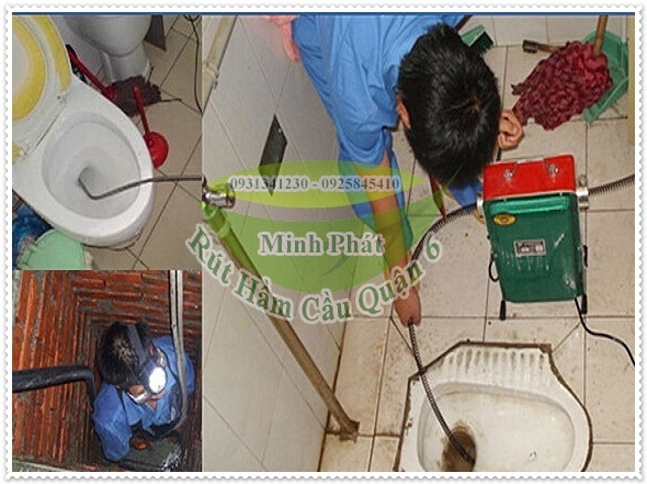 Gi&aacute; của c&acirc;y th&ocirc;ng bồn cầu